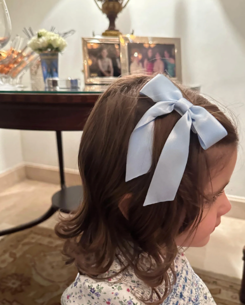 The Mini Charlotte Silk Bow