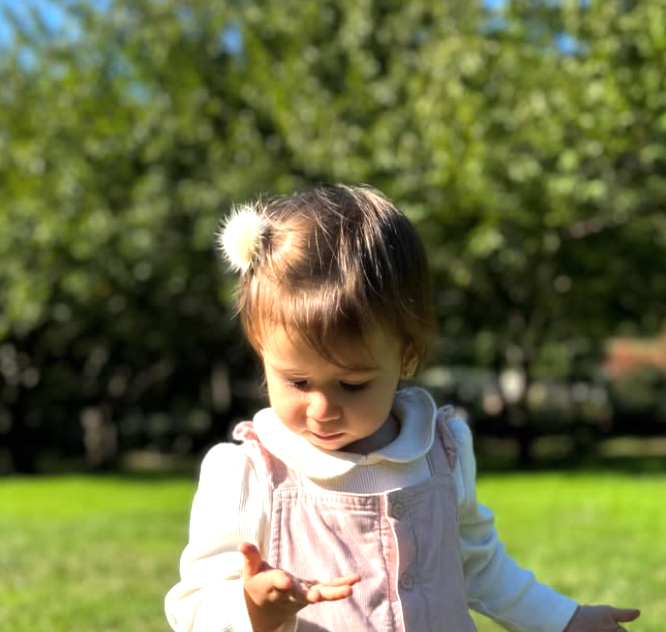 Penelope Pom-Pom Clip (2pk)